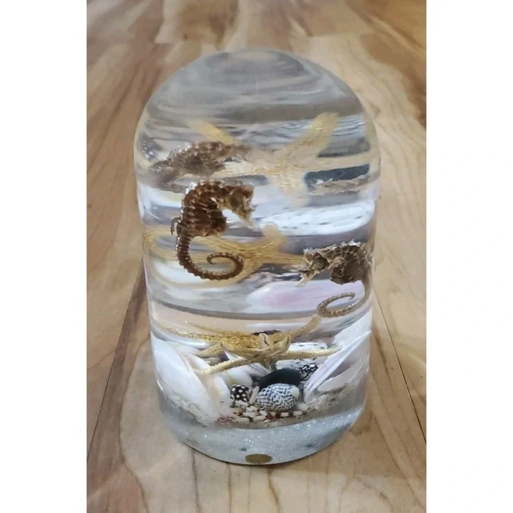 Vtg 1960s Lucite Seashells Ocean Aquarium Bookend Sculpture Seahorse Starfish